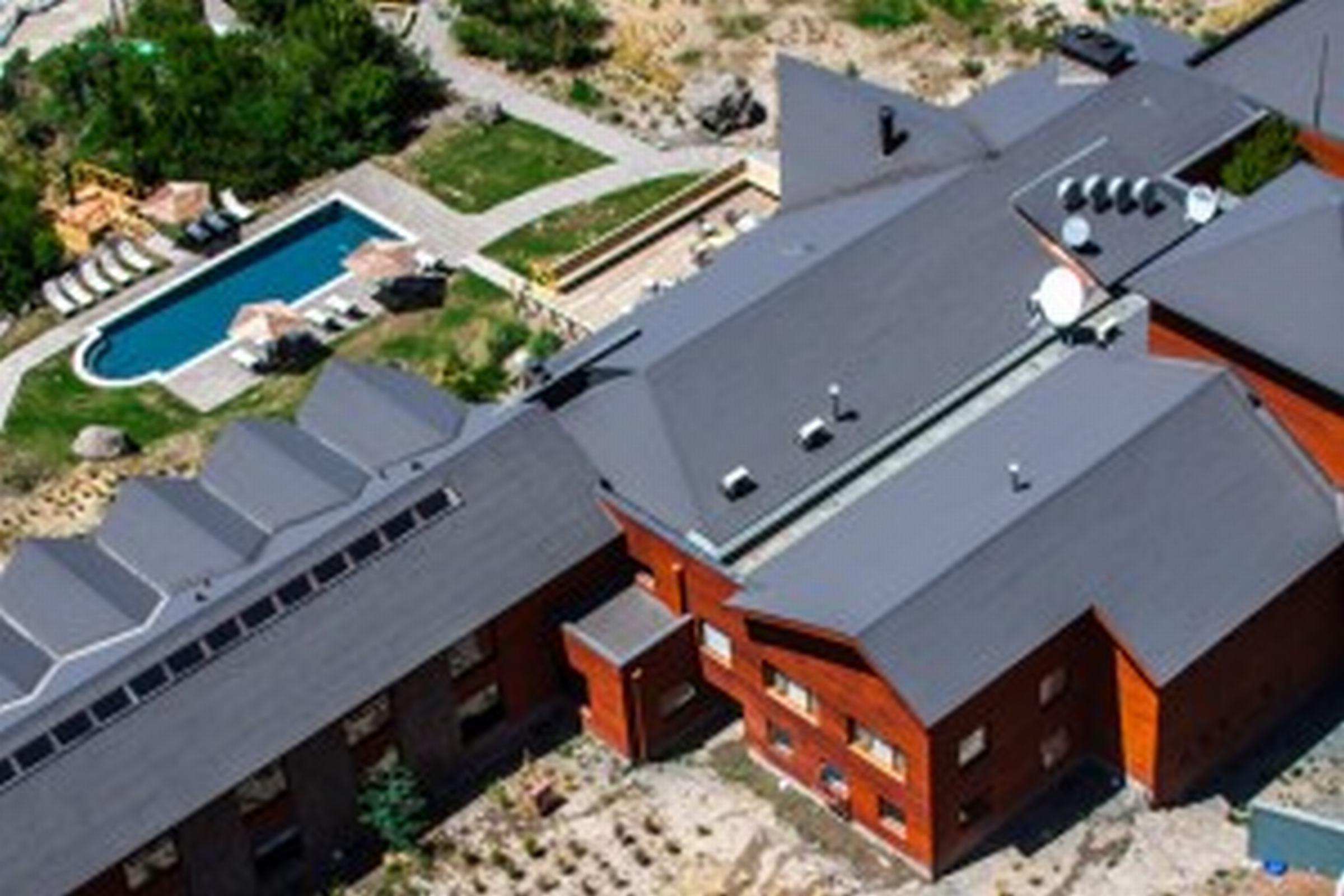 Noi Puma Lodge Machalí Εξωτερικό φωτογραφία