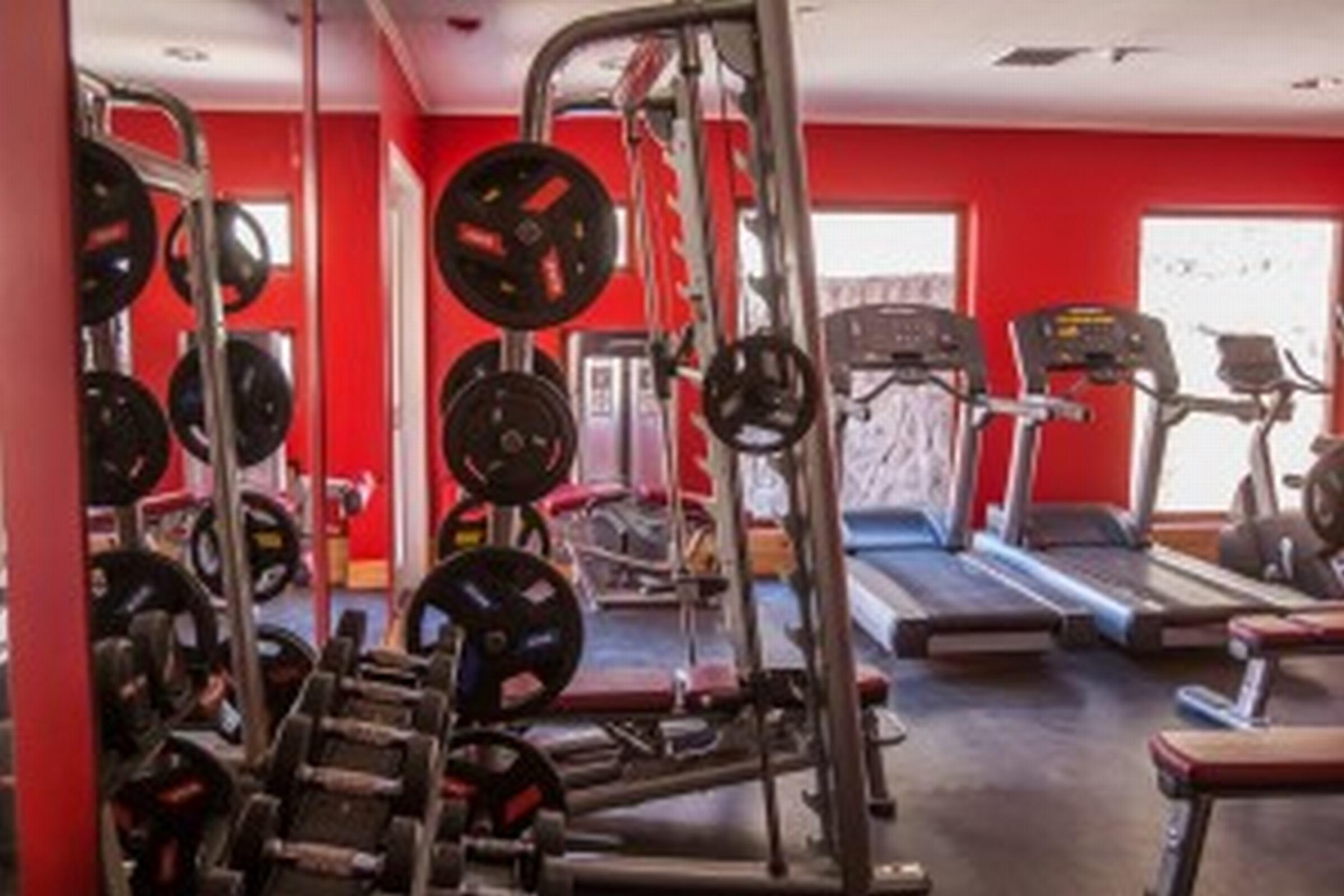 Noi Puma Lodge Machalí Εξωτερικό φωτογραφία