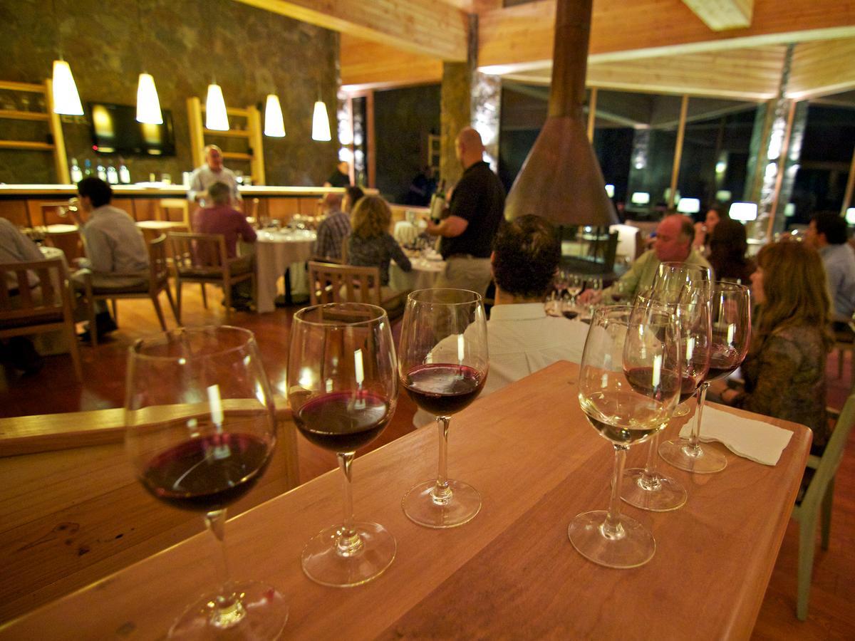 Noi Puma Lodge Machalí Εξωτερικό φωτογραφία
