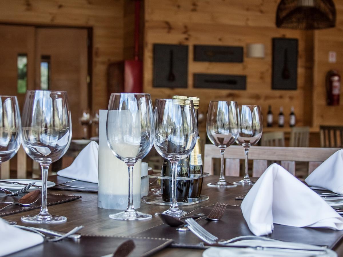 Noi Puma Lodge Machalí Εξωτερικό φωτογραφία