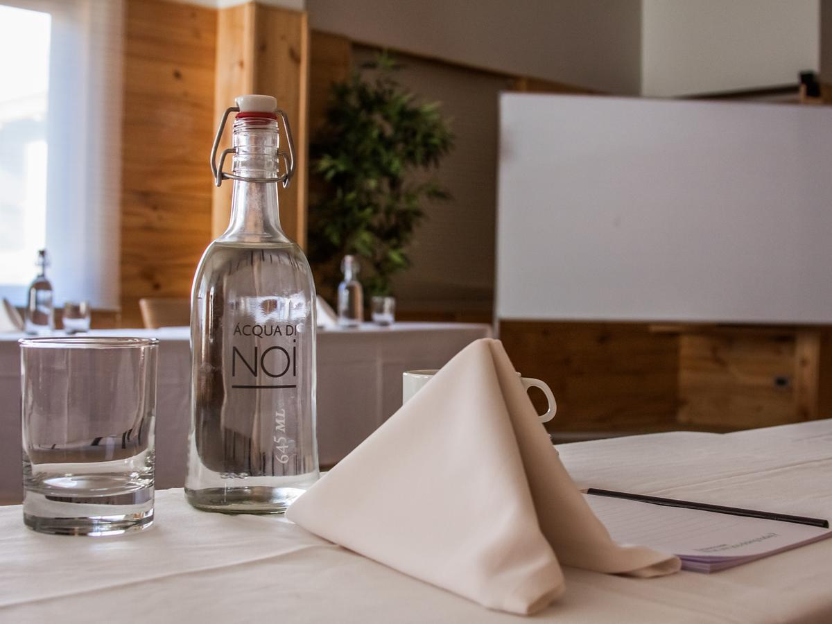 Noi Puma Lodge Machalí Εξωτερικό φωτογραφία
